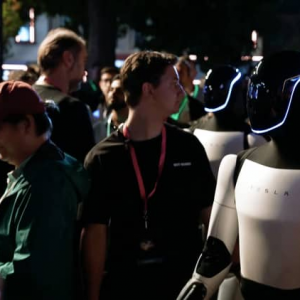 Evento Elon Musk Robots