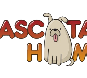 Descubre el Refugio para Tu Mascota en MascotaHome